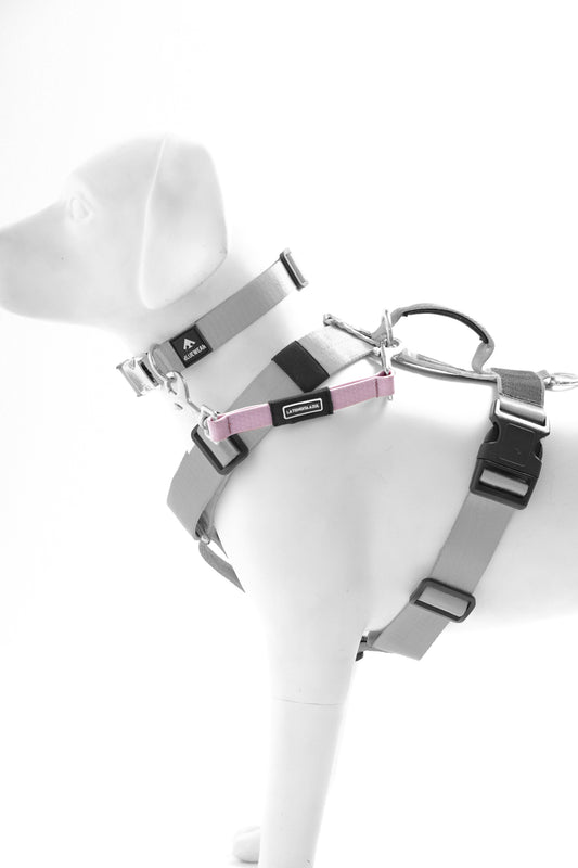 Conector antiescape para collar - arnés