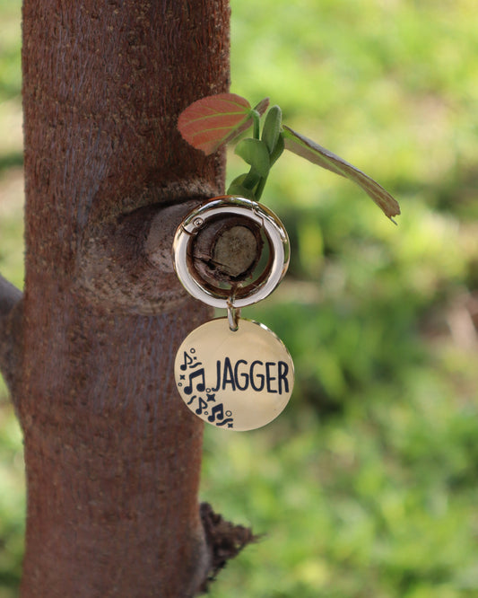 Plaquita de identificación - Colección Musical