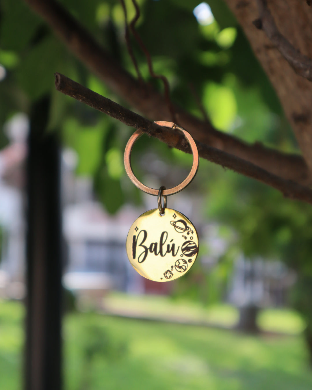 Plaquita de identificación  - Colección Astros y estrellas