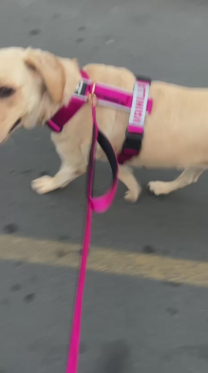 Correa manos libres multifunción