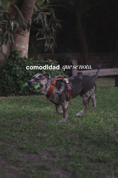 Arnés clásico - Ocre