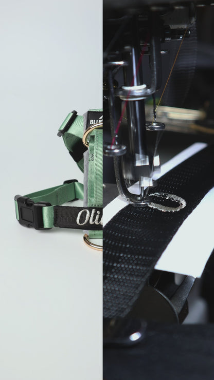 Arnés clásico - Menta