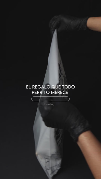 Arnés clásico - Menta