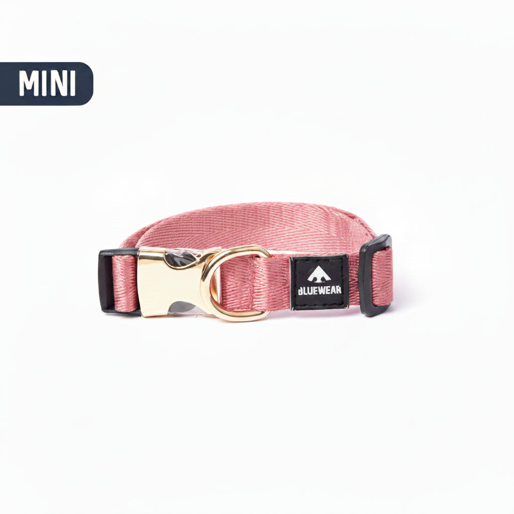 Collar light (mini)