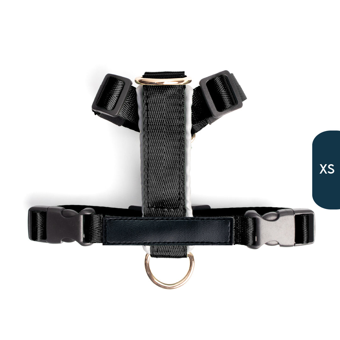 Arnés clásico - Negro