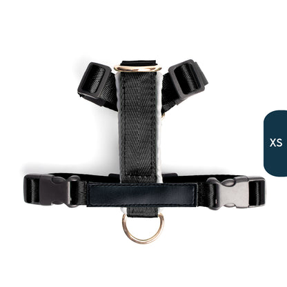 Arnés clásico - Negro