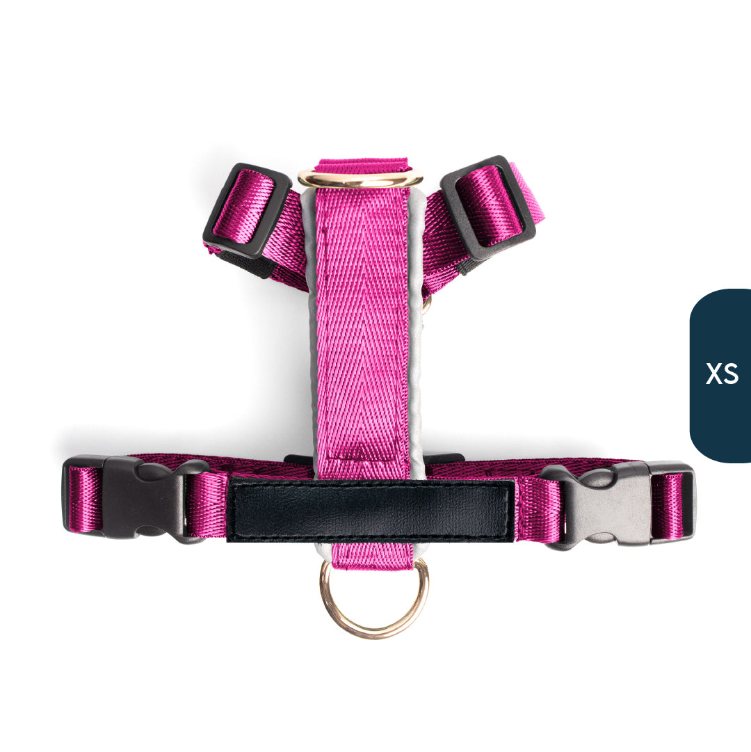 Arnés clásico - Fucsia