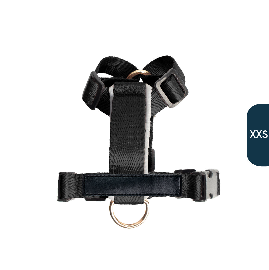 Arnés clásico - Negro