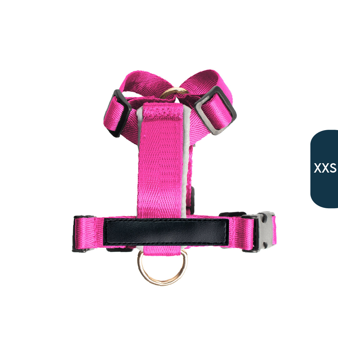 Arnés clásico - Fucsia